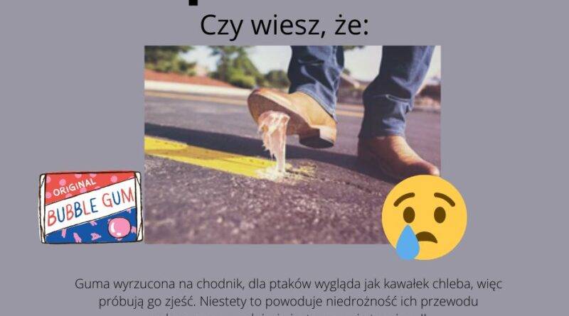 Guma do żucia wyrzucona na chodnik, dla ptaków wygląda jak kawałek chelba, więc próbują go zjeść. Niestety to powoduje niedrożność ich przewodu pokarnowego, gdyż nie jest przez nie trawiona. Bądź odpowiedzialny za to gdzie wyrzucasz swoje odpady.